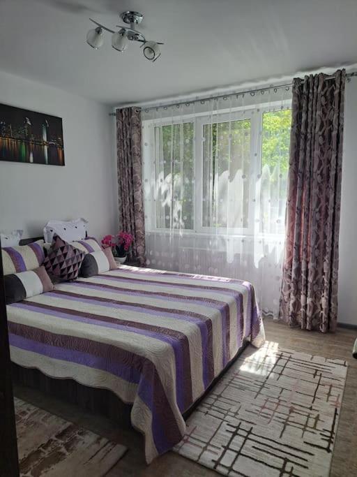 Casuta Cu Povesti Apartment Къмпина Екстериор снимка